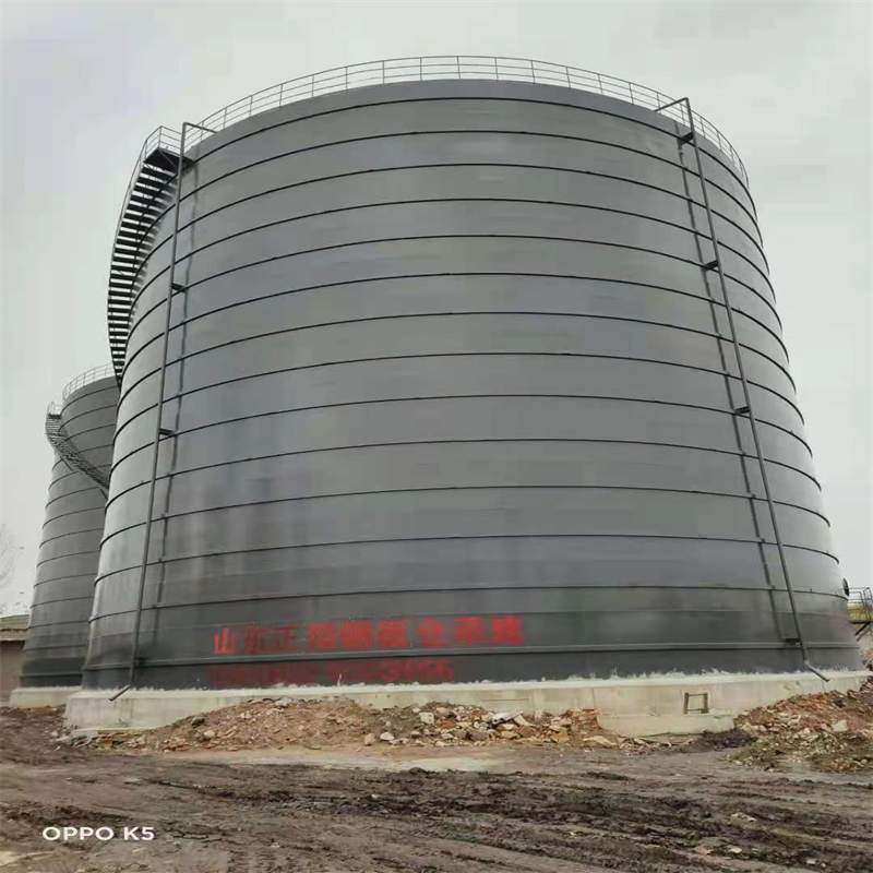 建水3万吨大型钢板库