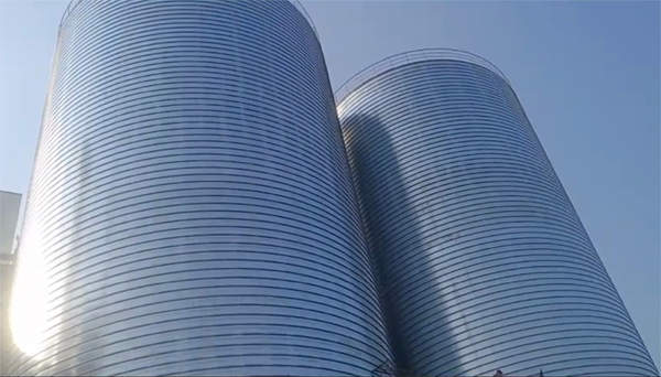 建水2座混凝土高架卷板仓